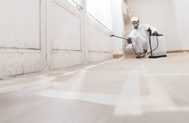 24/7 Emergency Attic Mold Remediation experts in Phoenix, AZ